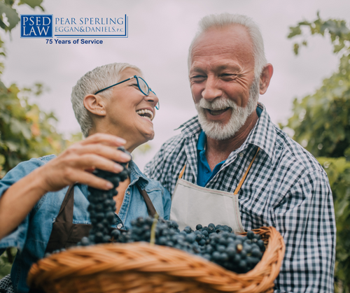 Estate Planning Attorneys Ann Arbor