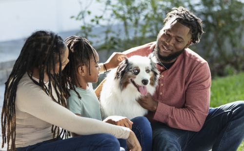 a family petting their family dog outside